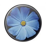 Popsockets original, suport cu diverse functii - blooming blue (gloss)