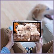 Husa pentru  Xiaomi Redmi Pad 2 Soft Shell cu functie wake-up/sleep si compartiment pentru stylus, tip stand - Mov