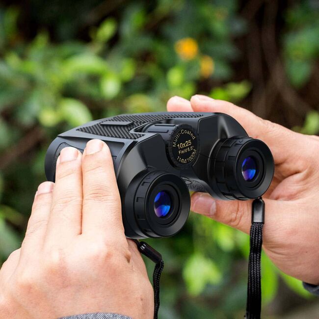 Binoclu 12 x 25 compact, Lentile Prism BAK4, Easy Focus, portabil, pentru vanatoare, hobby, sport, calatorii, negru